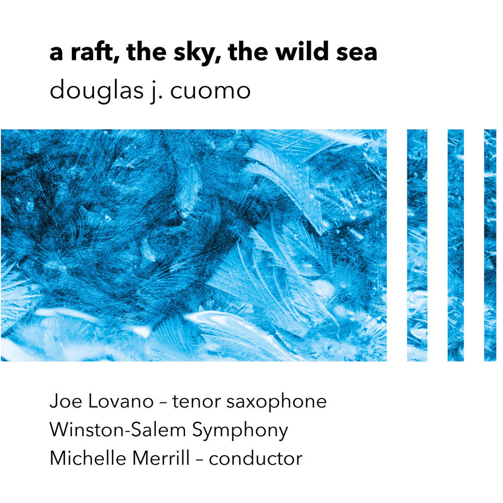 A Raft, the Sky, the Wild Sea cover