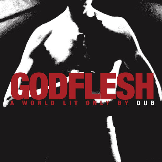 A World Lit Only by Dub cover