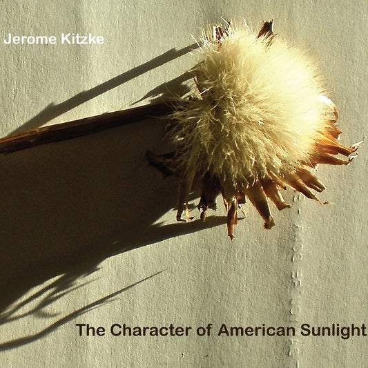 Character of American Sunlight cover