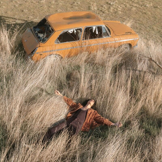 THE PLOW THAT BROKE THE PLAINS cover