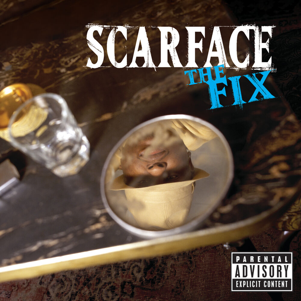 The Fix cover