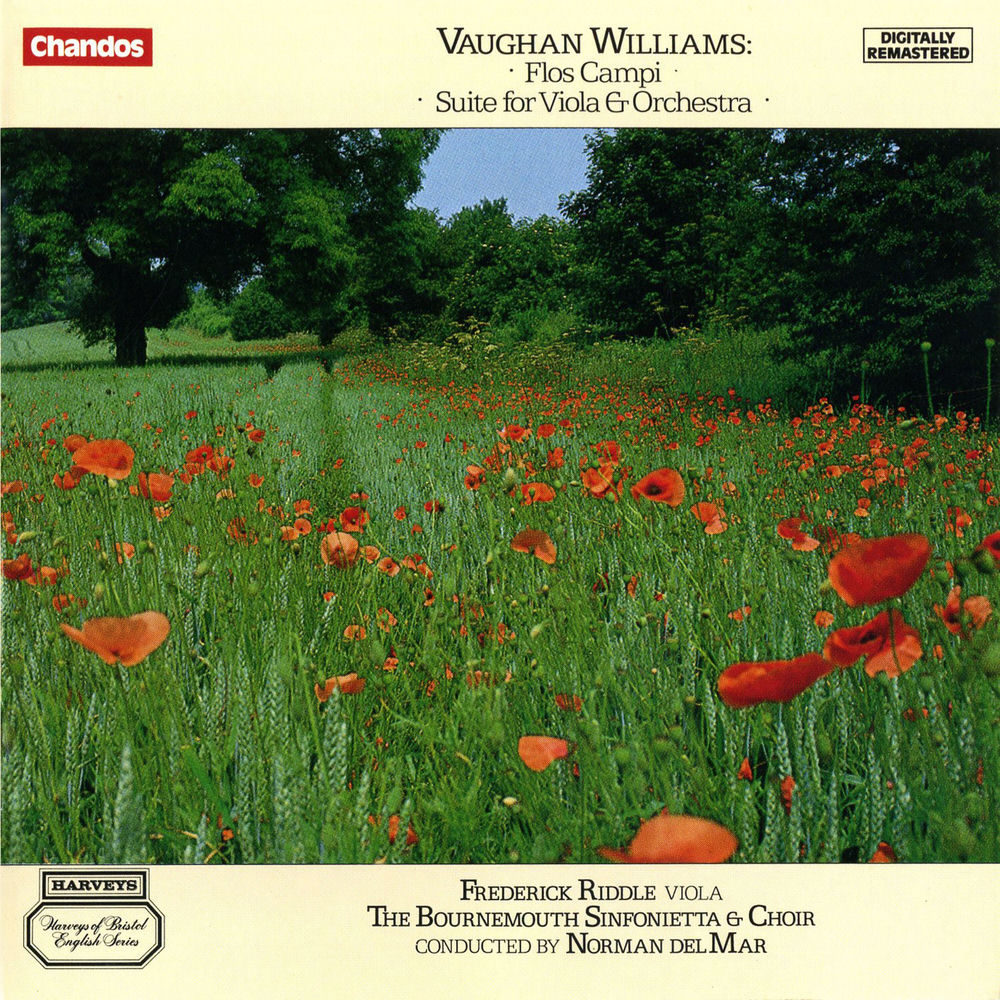 Orchestral Works - Sinfonietta cover