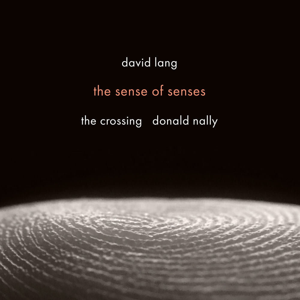 David Lang: the sense of senses cover