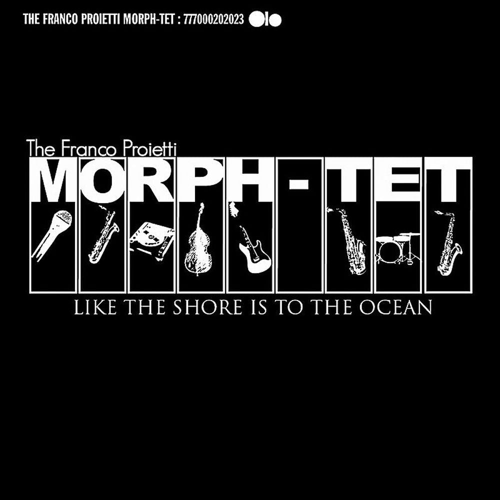 Like the Shore Is to the Ocean cover