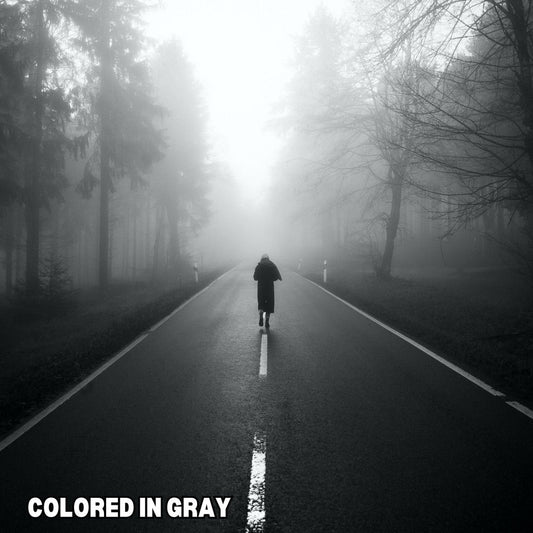 Rain Fades In Grey cover