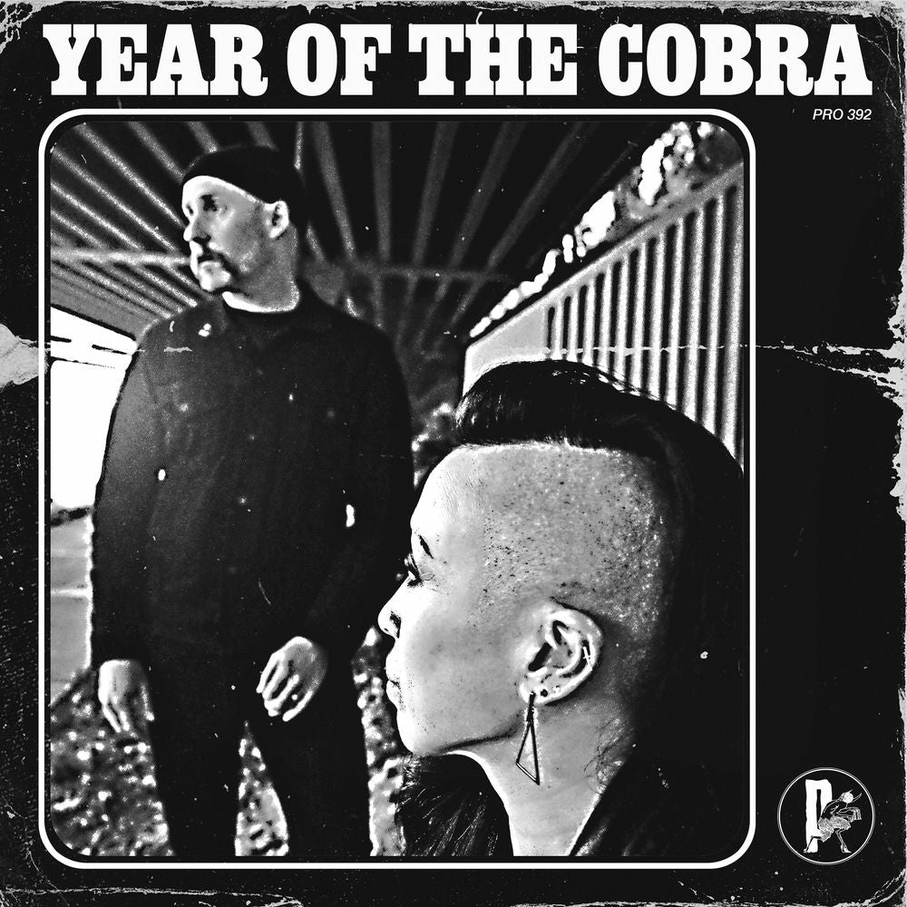 Year of the Cobra cover