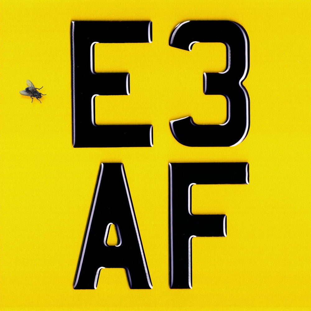 E3 AF [Digipak] cover