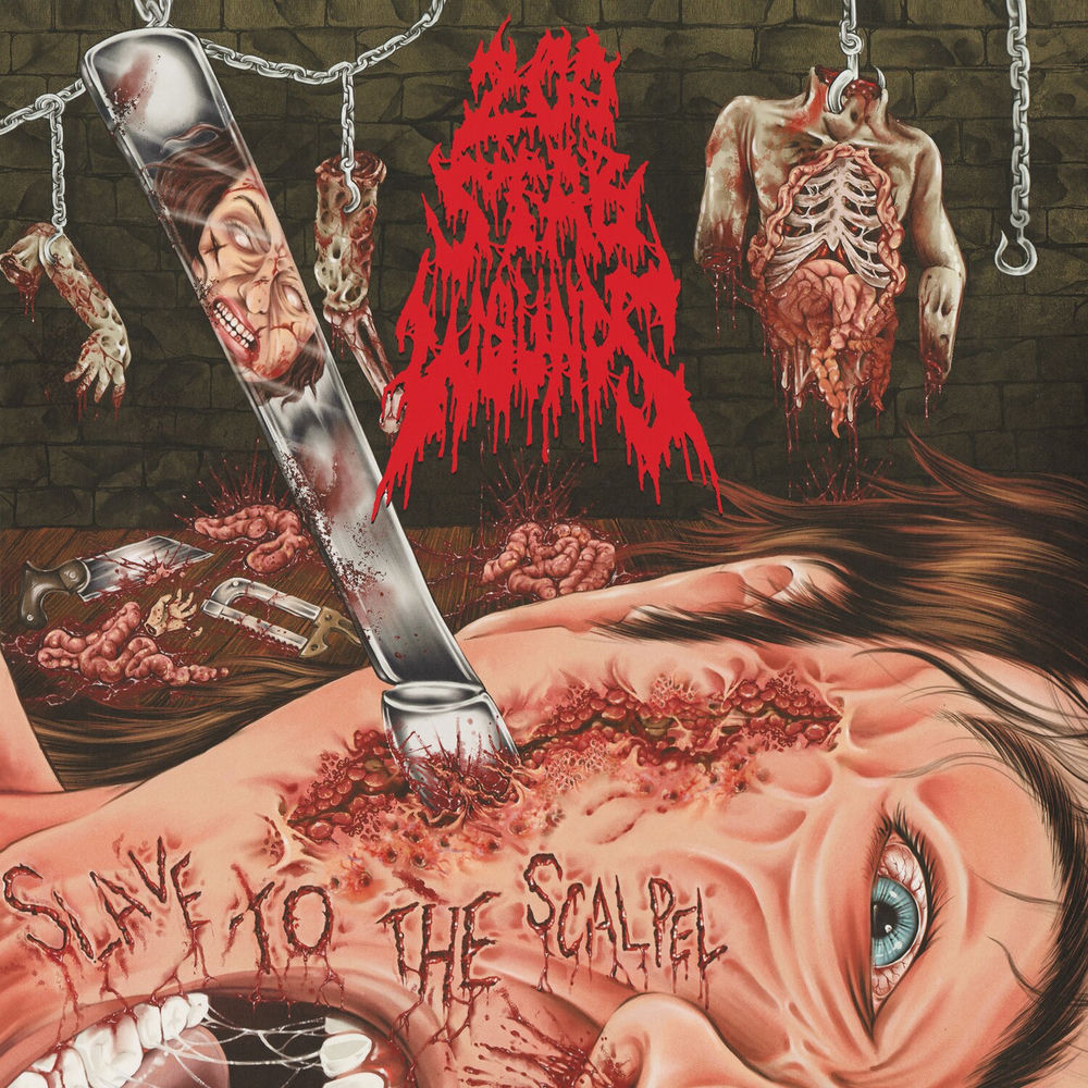 Slave to the Scalpel cover