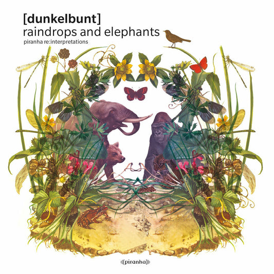 Raindrops and Elephants cover