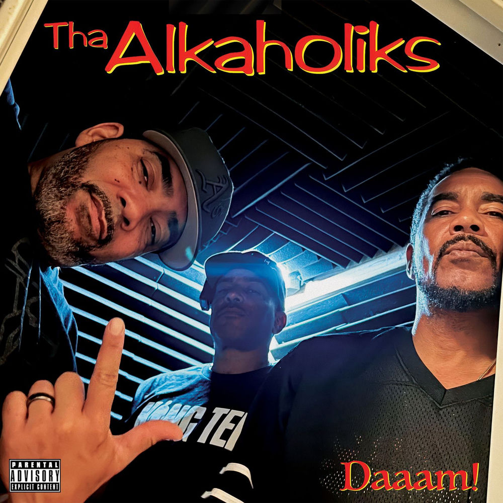 Daaam! cover