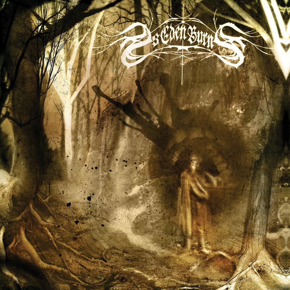 Great Celestial Delusion cover