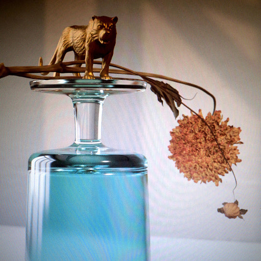 Gallipoli (I) cover