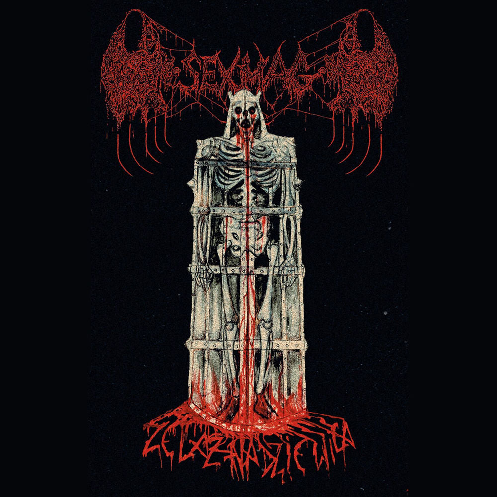 Zelazna Dziewica cover