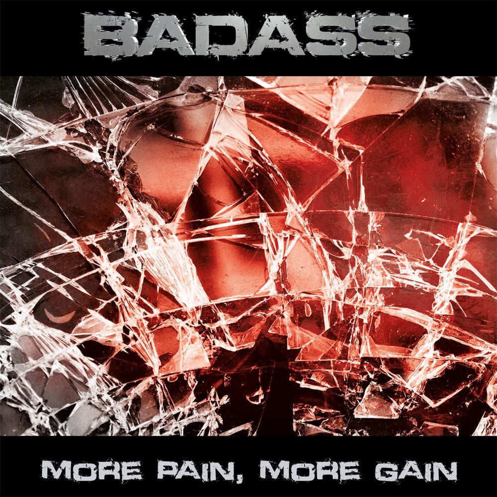 More Pain More Gain cover