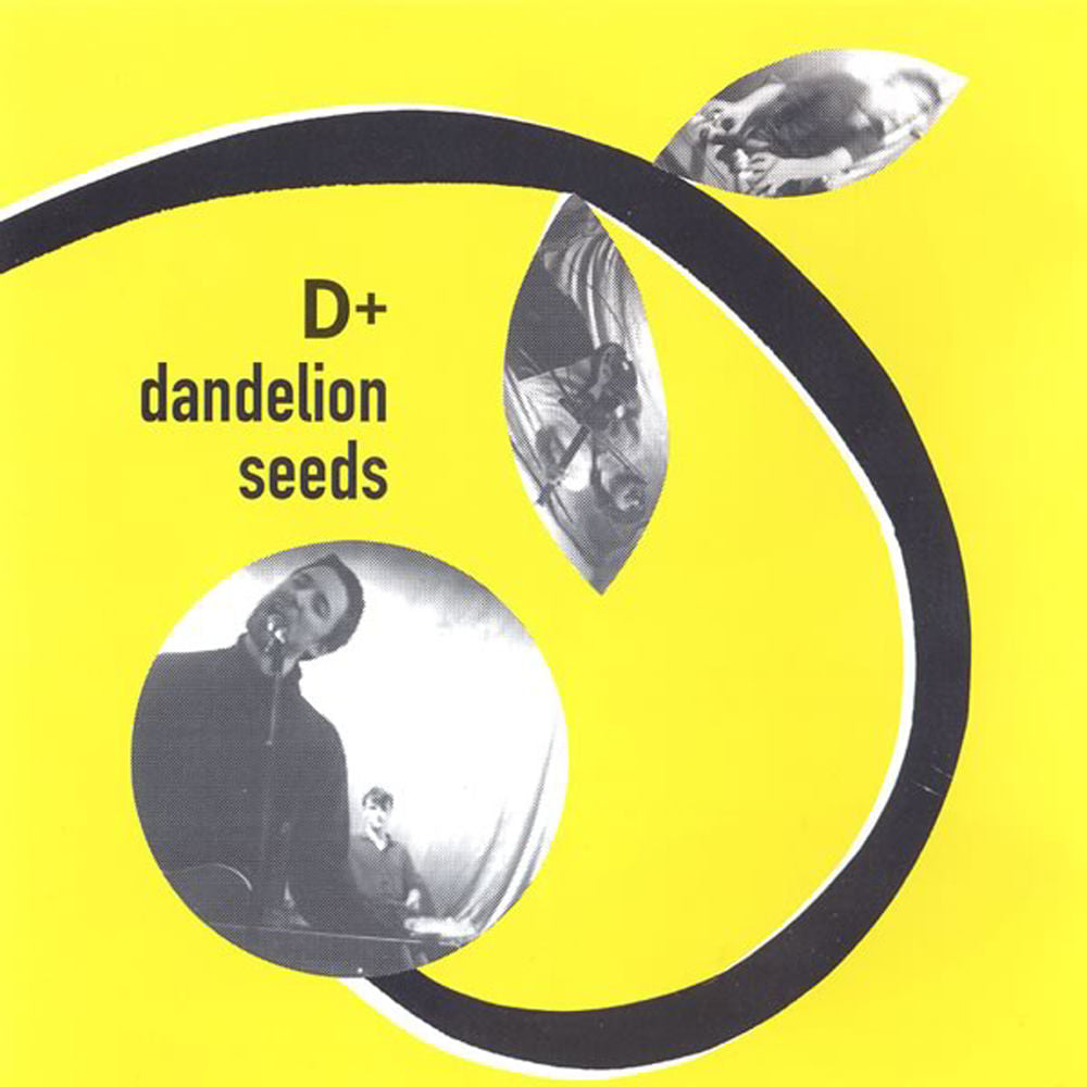 DANDELION SEEDS cover
