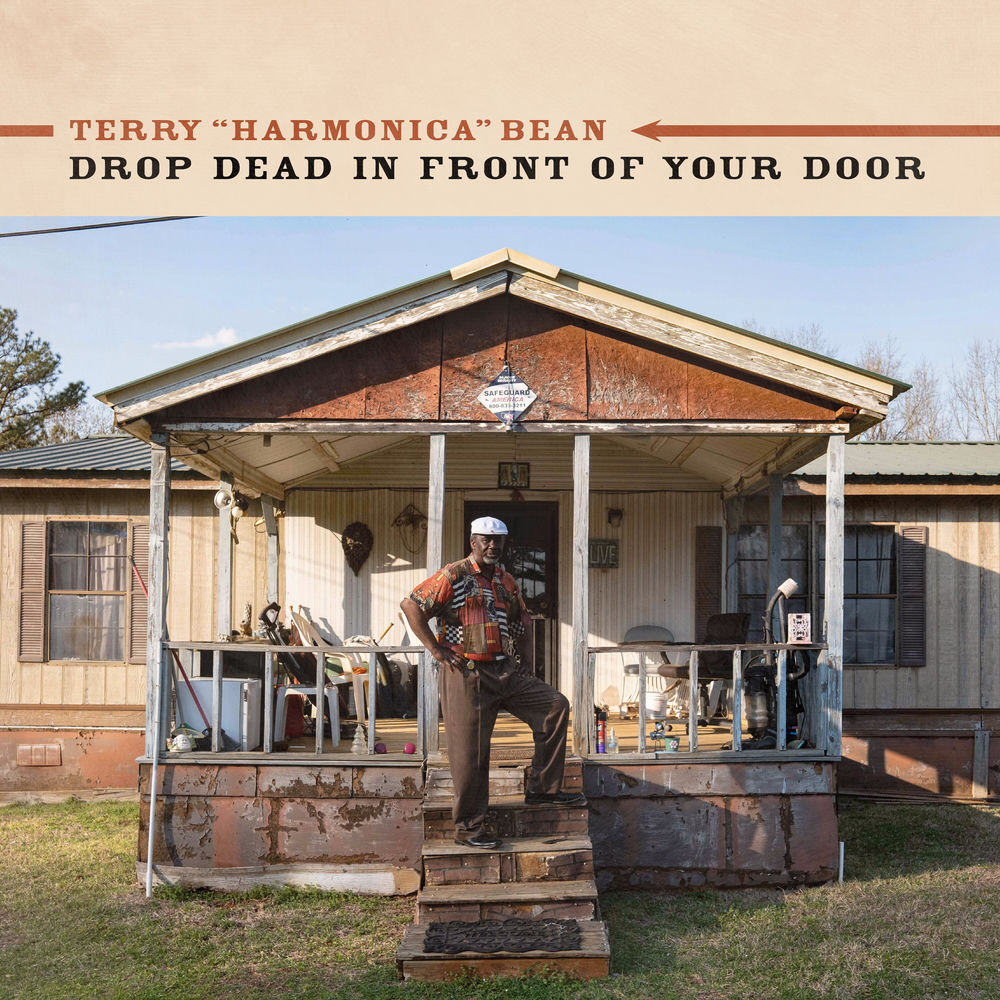 Drop Dead In Front Of Your Door cover