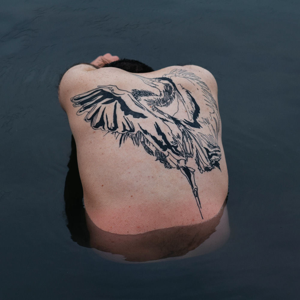 Blue Heron cover