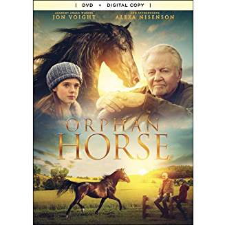Orphan Horse