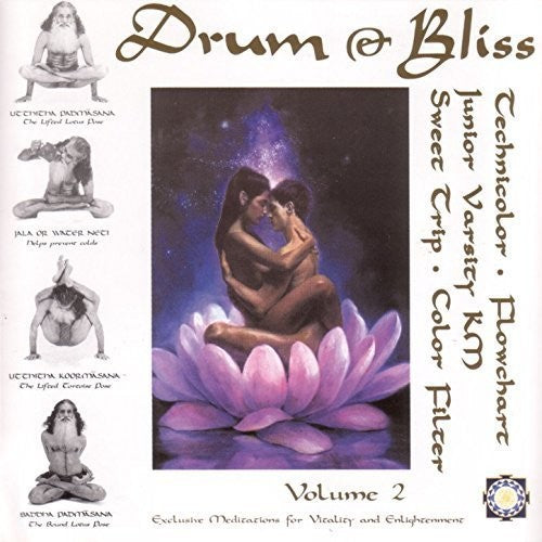 Drum & Bliss 2 (Various Artists)