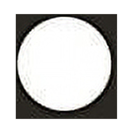 Scintilla