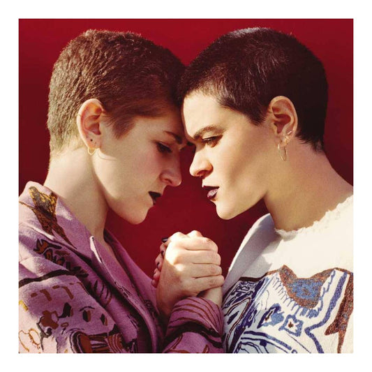 The Fight [LP]