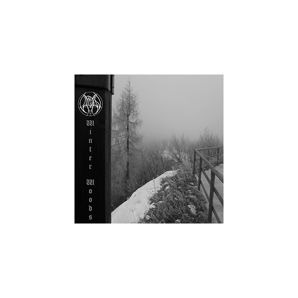 Winter Woods