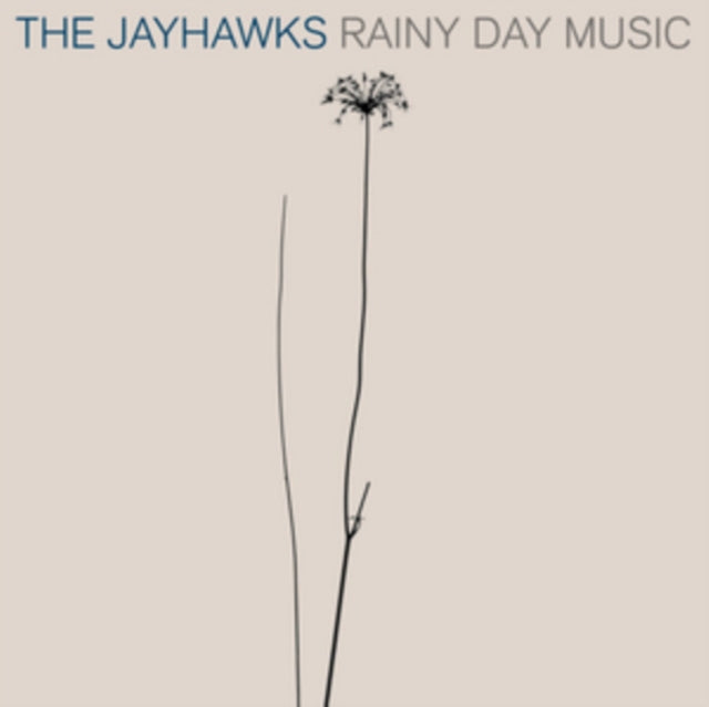 Rainy Day Music [2 LP]