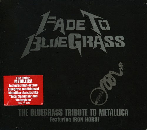 Bluegrass Tribute to Metallica