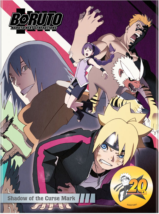 Boruto: Naruto Next Generations - Shadow of the Curse Mark (DVD)
