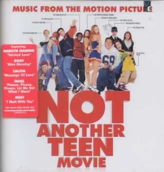Not Another Teen Movie