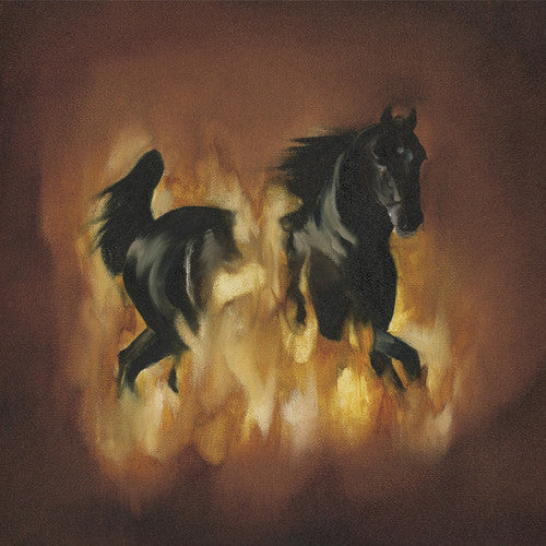 THE BESNARD LAKES ARE THE DARK [Vinyl]