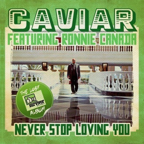 Never Stop Loving You (Digitally Remastered)