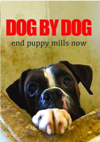 Dog By Dog