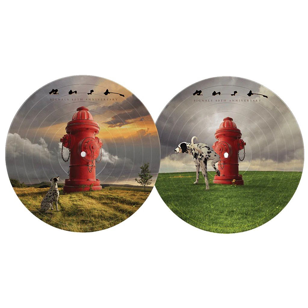 Signals (40th Anniversary) [Picture Disc LP]
