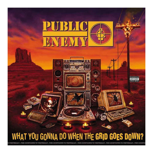 What You Gonna Do When The Grid Goes Down? [LP]