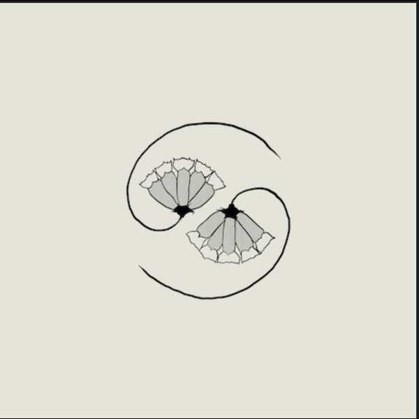 G D's Pee at State's End! (Incl. 10 )