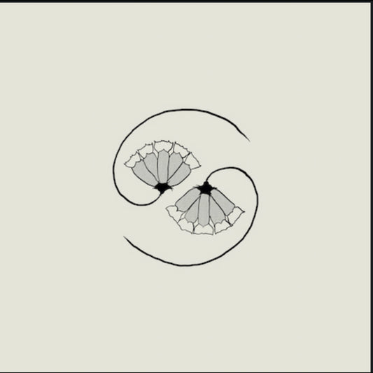 G D's Pee at State's End! (Incl. 10 )