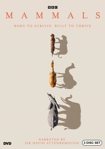 Mammals (DVD)