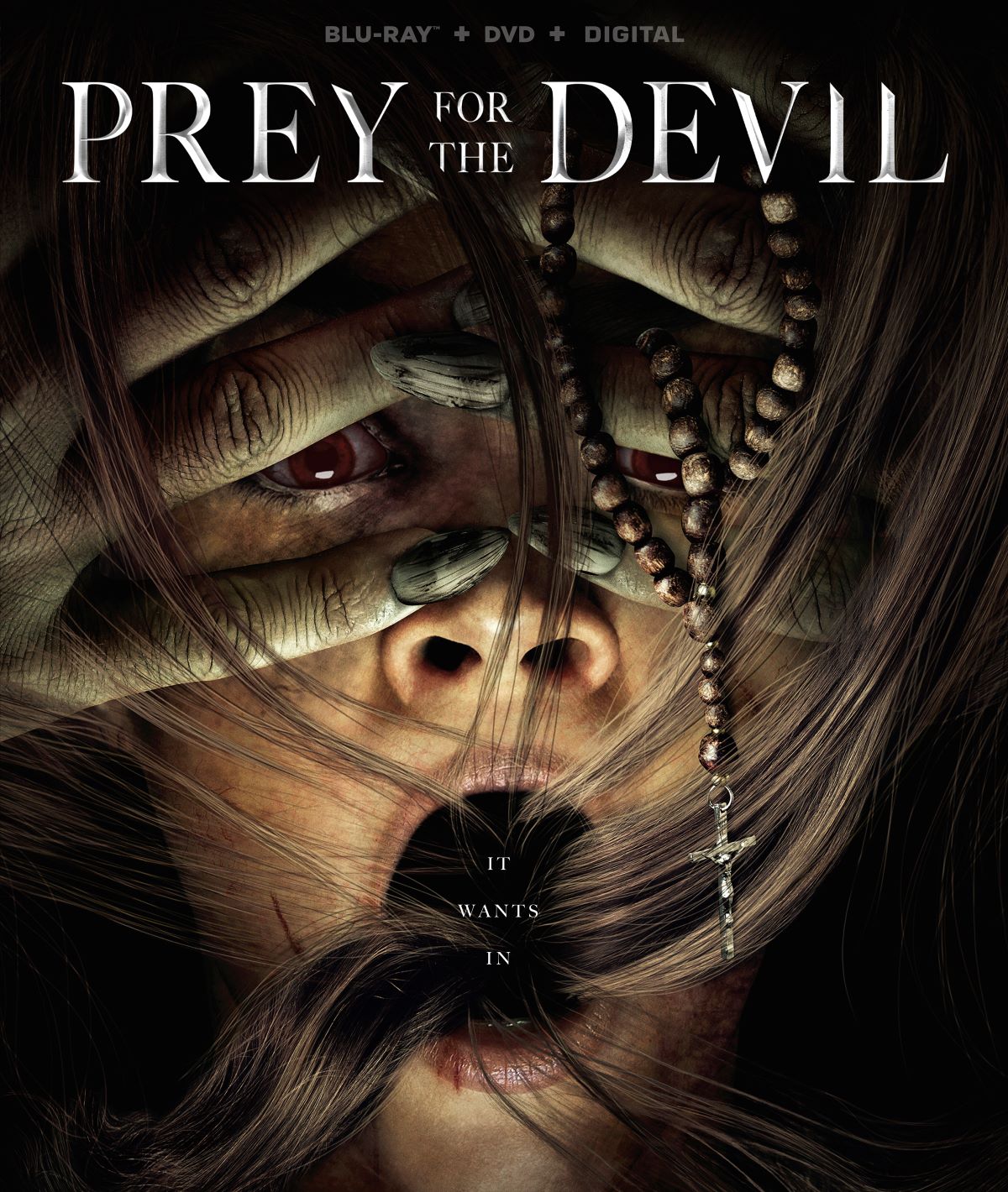 Prey for the Devil [Blu-ray]