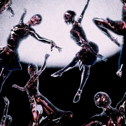 Optimist [LP]