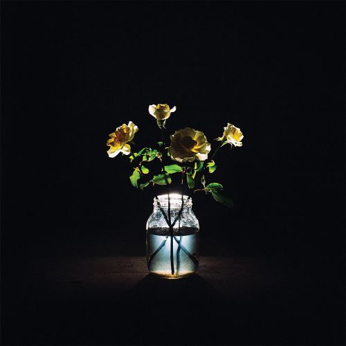 Renewal [2 LP]