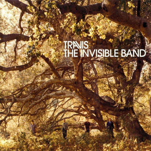 The Invisible Band (20th Anniversary) [Deluxe 2 CD/Clear 2 LP Box Set]