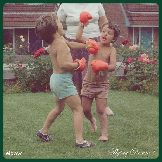 Flying Dream 1 [LP]