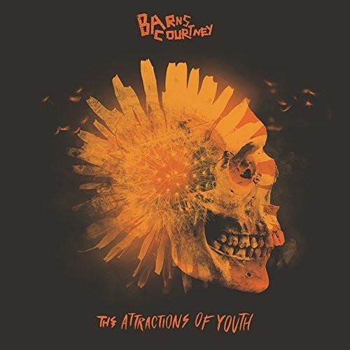 The Attractions Of Youth [LP]