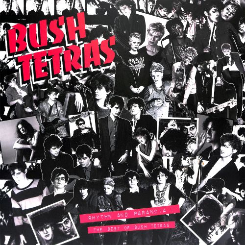 Rhythm & Paranoia: The Best of Bush Tetras