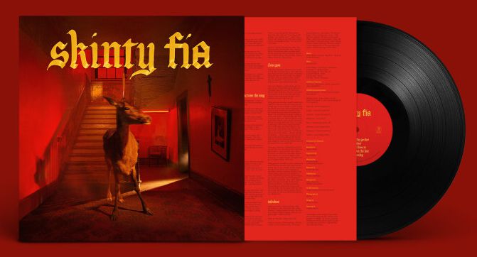 Skinty Fia