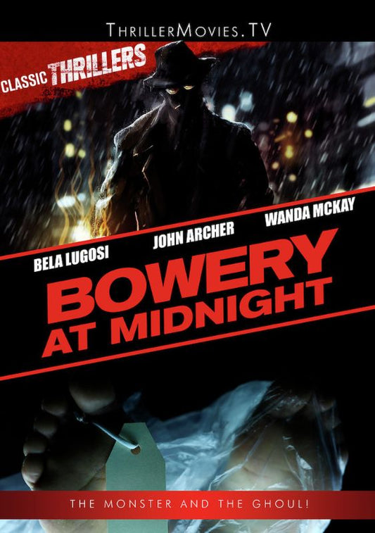 Bowery At Midnight