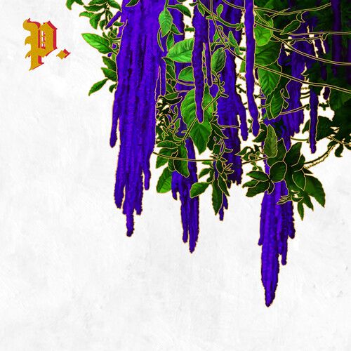 The Great American Novel (Bone & Grey)