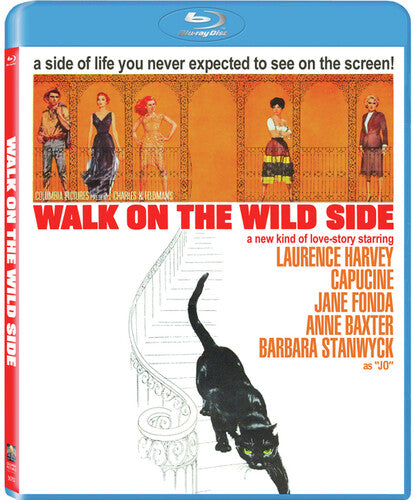 Walk on the Wild Side [Blu-ray]