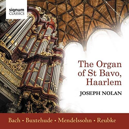 Organ of St Bavo